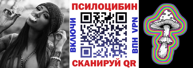 Купить Андреаполь Псилоцибиновые грибы Cubensis